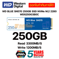 ราคา เอสเอสดี WD BLUE SN570 250GB SSD NVMe M 2 2280 WDS250G3B0C WDS500G3B0C WDS100T3B0C ประกันศูนย์ 5ปี (15142226971)