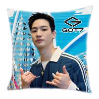 ราคา ส่งจากไทย หมอนพิมพ์ลาย BTS GOT7 EXO NCT THE BOYZ มีทั้งหมอนและปลอกหมอน (17741215243)
