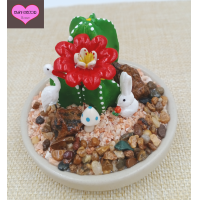 ราคา กระบองเพชรเซรามิก แคคตัสเซรามิก เซรามิค ตุ๊กตาจัดสวนถาด สวนถาด กระบองเพชรปลอม ของตกแต่งบ้าน จัดสวนจิ๋ว ราคาต่อ1 อัน (16657447207)