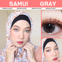 ราคา คอนแทคเลนส์ Dreamcolor1 รุ่น Samui เลนส์รายเดือน กันรังสียูวี มีค่าสายตา 0 00 10 00 (16205694967)