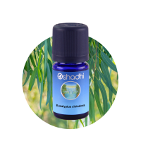 ราคา Oshadhi Eucalyptus citriodora essential oil 10 ml (4548130905)