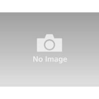 ราคา TAMIYA 69945 Modelers Side Cutter α White คีมตัดโมเดลทามิย่าแท้ (21248629693)