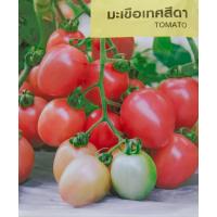 ราคา เมล็ดพันธุ์ มะเขือ มะระ มะเขือเทศ ทุกชนิด เมล็ดผักสวนครัว เมล็ดมะเขือ มะระขี้นก มะระจีน มะเขือเปราะ มะเขือพวง มะเขือยาว (20962571902)