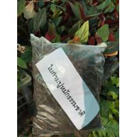 ราคา ใบก้ามปูหมักธรรมชาติ คัดพิเศษ ถุงละ 1000 กรัม ใบก้ามปูหมักร่อน ไม่ผสมดิน ถุงละ 39 บาท คุณภาพสูง100 ปลูกบอนสีก็สวย ปลูกต้นไม้ได้ทุกชนิด (14192050447)