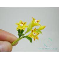 ราคา ดอกลิลลี่จิ๋ว ไซต์ SS ดอกลิลลี่ ดอกลิลลี่ดินปั้น ลิลลี่ ดอกไม้ดินปั้น lily ของจิ๋ว ของตกแต่ง (17445048273)