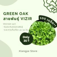ราคา เมล็ดพันธ์ุกรีนโอ๊ค Green oak vizir (20372437564)