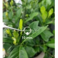 ราคา 1 คู่ ต่างหูห่วง 10 12 14 mm เงินแท้ 92 5 ต่างหูเงิน มีตุ้มห่วงบอล 4 mm ตุ้มแบบด้าน silver925 (9944006467)