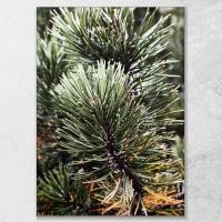 ราคา ภาพแคนวาส ภาพติดผนัง กรอบลอย ภาพพิมพ์ผ้าใบ คอลเลคชั่น ABSTRACT รับรองคุณภาพด้วยเทคนิคจากประเทศอิตาลี (16479800205)