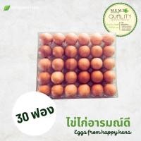ราคา ไข่ไก่อารมณ์ดี ไข่ไก่ออแกนิก จำนวน 30 ฟอง เบอร์ 3 ไข่ไก่ออร์แกนิค สด สะอาด ปลอดภัย เลี้ยงในฟาร์มแบบธรรมชาติ ปลอดภัยจากสารปฏิชีวนะ (21022387702)