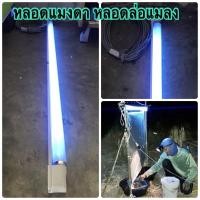 ราคา หลอดไฟล่อแมลงสีฟ้าน้ำทะเล หลอดแบล็คไลท์ ชนิดหลอดอ้วน Black light สีน้ำทะเล T8 หลอดยาว สำหรับล่อแมง (14696395581)