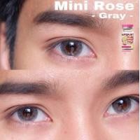 ราคา คอนแทคเลนส์ Mini Rose Brown Gray ยี่ห้อ Kitty Kawaii ค่าสายตาปกติ (21073046519)