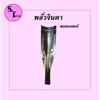 ราคา หัวพลั่วแทงดิน สแตนเลสแท้ พลั่วจินดา เสียมใหญ่ ใช้งานหนัก ใช้กับด้าม1นิ้ว (16421753761)