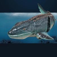 ราคา เรือบังคับระยะไกลจำลองเรือฉลาม2 4Gเรือเร็วไฟฟ้าไร้สายกันน้ำเรือเร็วเรือเร็วของเล่นสำหรับเด็กผู้ชายเป็นของขวัญ (20859638445)