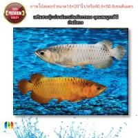 ราคา ภาพโปสเตอร์เสริมฮวงจุ้ย ปลามังกรเงิน ปลามังกรทอง พื้นน้ำเงิน เรียกทรัพย์ ขนาด16 20 นิ้ว (13610035609)