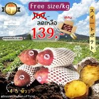 ราคา ประกันสินค้า มันหวานญี่ปุ่นแท้ Greot fruit สายพันธุ์ Beni haruka เนื้อเหลือง หอมหวาน อร่อย 1 กก สินค้าเคลมได้ (21247171830)