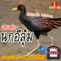 ราคา ร้านโชดดี999 เสียงต่อนกอีลุ้ม แฟลชไดร์ฟ USB เสียงนกอีลุ้ม เสียงดังฟังชัด เสียงนกแท้ เสียงดังฟังชัด100 เข้าง่ายติดง่าย (20613533521)