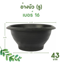 ราคา กระถาง กระถางต้นไม้ อ่างบัว ชวนชม รู ทึบ เบอร์ 12 13 16 18 นิ้ว สีดำ (20894884197)