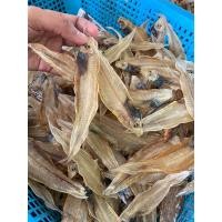 ราคา ปลายอดมะม่วง ปลาลิ้นหมา หรือปลาหน้าเดียวขนาด500กรัม ไม่เค็มกินอร่อย (19667893292)