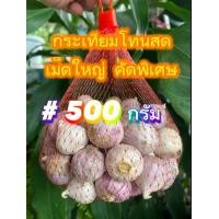 ราคา กระเทียมโทน เม็ดสวย สดใหม่ คัดพิเศษ โปรเปิดร้านใหม่ (20870183461)