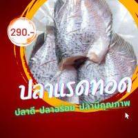 ราคา ส่งไวมาก ปลาแรดแดดเดียว ปลาแดดเดียว เนื้อแน่น สดใหม่ รสชาติดี ขนาด 2 3 ตัว กก สด สะอาด ปลอดสาร 100 (12879327332)