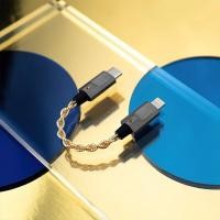 ราคา Luxury & Precision Audio Wire Type-C to Type-C สายสัญญาณเสียง รุ่น WP2