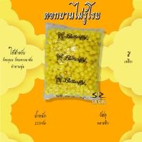 ราคา ดอกบานไม่รู้โรย บานไม่รู้โรย บานไม่รู้โรยพลาสติก บานไม่รู้โรยปลอม ตราผีเสื้อ (14266658258)