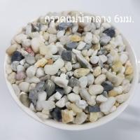 ราคา หินโรยหน้ากระถาง 1 กิโลกรัม หิน หินโรยแคคตัส หินใส่ตู้ปลา หินตกแต่งตู้ปลา หินโรยกระถาง ถูกมาก (11737032051)