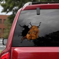 ราคา XXIAOtong Bull สติกเกอร์ติดรถยนต์ลายสุนัขสัตว์เลี้ยง Funny Puppy Lover หน้าต่างสติ๊กเกอร์ติดโทรศัพท์สติ๊กเกอร์ติดผนังอุปกรณ์ตกแต่งออกแบบ Mini 2021ใหม่ขาย (16938505076)