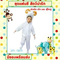 ราคา พร้อมส่งจากไทย ชุดแฟนซีสัตว์ เด็ก ผู้ใหญ่ ขนาด 100 190 cm ชุดนอนเด็กรอมเปอร์ ยีราฟ ผึ้ง วัว ม้าลาย หมาป่า หมีแพนด้า แกะขาว (16525662721)