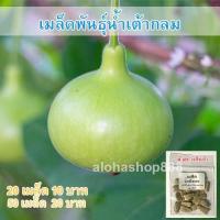 ราคา เมล็ดพันธุ์ น้ำเต้า ผักสวนครัว น้ำเต้ากลม 40 เมล็ด 10 แถม 1 คละได้ (20771883587)