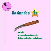 ราคา มีดตัดกล้วย ดึงหวีกล้วย ชำแหละกล้วย มีดตัดแยกหวีกล้วย มีดชำแหละกล้วยจิ๋ว 6 5 นิ้ว (16384722615)