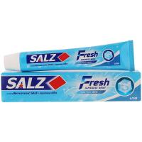 ราคา ใหม่ 11 11 ยาสีฟัน ซอลส์ Salz Fresh 40G ซ้อล ยาสีฟัน ซอล รุ่น เฟรช เจแปนนิส มิ้นต์ ขนาด 40 กรัม (20854871724)