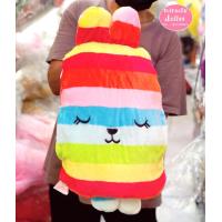 ราคา หมอนผ้าห่มนาโนคราฟซุกมือด้านข้างได้ (6257810954)