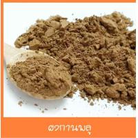 ราคา กานพลูผง ผงกานพลู กานพลูป่น กานพลู Clove Powder ขนาด 500 กรัม (4289630640)