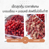 ราคา ส่งฟรี set สุดคุ้ม ราคาพิเศษ มะยมเชื่อม มะยมหยี ส่งฟรีไม่มีขั่นต่ำ ถูกกว่า สุดคุ้ม ส่ง ฟรี (16045915833)