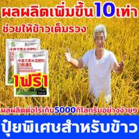 ราคา ผลผลิตเพิ่มขึ้น10เท่า ฮอร์โมนพืชข้าว เพิ่มการผลิตข้าว 1ฟรี1 ฮอโมนข้าวท้อง เร่งเต่งข้าว ฮอร์โมนข้าว ฮอร์โมนบำรุงข้าว ปุ๋ยเกล็ดทางใบ ปุ๋ยทางใบข้าว (20863957285)
