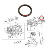 ราคา แท้ศูนย์ ซีลข้อเหวี่ยงหลัง โตโยต้า อัลพาร์ด เวลไฟร์ Toyota Alphard Vellfire ANH30 2015 2021 แคมรี่ คัมรี่ Camry ACV50 ASV70 ACV70 2012 2024 (11195243594)