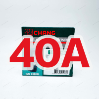 ราคา CHANG ลูกเซอร์กิตช้าง ลูกย่อยช้าง แบบปลั๊กออน Plugon 1Pole 10A 16A 20A 32A 40A 50A 63A แอมป์ Main Circuit Breaker for Consumer Unit (20687022086)