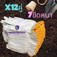 ราคา ถุงมือผ้า รุ่น ZW07 1 โหล 12 คู่ ถุงมือผ้า 7 ขีดราคาถูก ถุงมือ ถุงมือช่าง ถุงมือผ้าสีขาว ถุงมือผ้าฝ้าย ถุงมือผ้าทอ (20041544393)