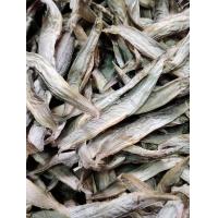 ราคา พร้อมส่ง ปลาหลด ตากแห้ง 100 กรัม หมักปรุงรสแซ่บนัวร์ๆ ปลาแห้ง ปลาหลด เป็นปลาที่หายาก ขอลูกค้าที่รับราคาได้เท่านั้น งดดราม่า นะคะ (5585102031)