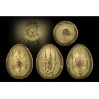 ราคา เบี้ยแก้ห้ามจน เบี้ยแก้หล่อหุ้มกลมเหมือนไข่ หลวงปู่แม่น สำนักสงฆ์เขาจันทร์ จ เพชรบูรณ์ เสก ตำรา ฤาษีนารอดหล่อเบี้ยห้ามจน เศรษฐีนับเงิน เจ้าสัวขนทอง ของหลวงพ่อพิธ วัดฆะมัง สายหลวงพ่อเงิน วัดบางคลาน (20