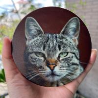 ราคา มีกล่องทุกชิ้น ที่รองแก้ว แผ่นหินรองแก้ว จานรองแก้ว ลายแมว จานรองแก้วแมว (16543300587)