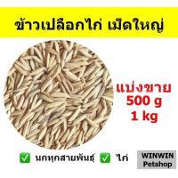 ราคา ข้าวเปลือกไก่ เม็ดใหญ่ สำหรับนก และ สัตว์ฟันแทะ (9694083285)