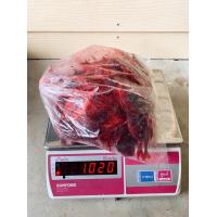 ราคา ปลาทูแดง ปลาหวาน ปลาทูแดงหวาน ตากใหม่ทุกวัน (20583434958)