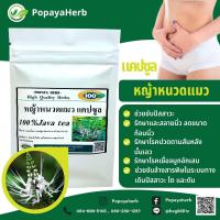 ราคา หนวดแมวผง 100 แคปซูล สมุนไพร100 (18560085069)