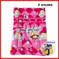 ราคา ที่นอนเด็ก ที่นอนเด็กอนุบาล ลายเจ้าหญิง เอลซ่า โซเฟียร์ คิตตี้ พร้อมส่ง (20594500287)