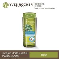 ราคา Yves Rocher BHC Anti Dandruff Treatment Shampoo ขจัดรังแค (7878917309)