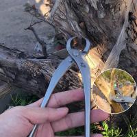 ราคา คีมบอนไซ คีมนกแก้ว คีมท้องเรือ คีมตัดกิ่ง อุปกรณ์บอนไซ เครื่องมือบอนไซ คีมบอนไซ สแตนเลส Maxwell (18615082050)