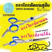 ราคา กรรไกรตัดขนสุนัข เลือกแบบได้ กรรไกรโค้ง กรรไกรปลายมน Top Paw Scissors Curved ball tip กรรไกรสแตนเลส เลือกแบบได้ 1อัน Curved Scissors or Straight Scissors for Dog Pets (16284768854)