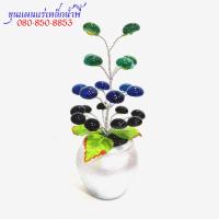 ราคา ต้นไหลเงิน ไหลทองดูดทรัพย์ 21 เม็ดไหลน้ำพี้แท้100 รับประกันของแท้จากบ่อเหล็กน้ำพี้ จ อุตรดิตถ์ (10775661206)